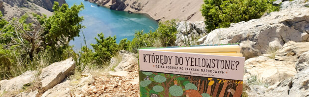 ktoredy do yellowstone mizielinscy 1