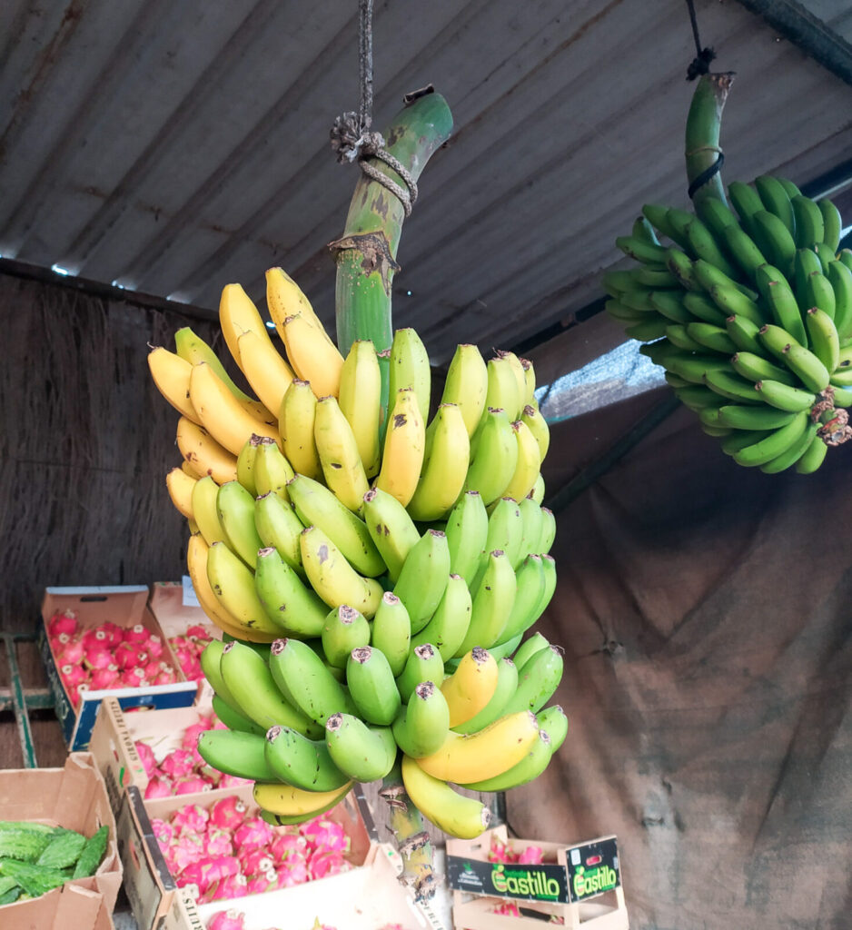 banany kuchnia na teneryfie