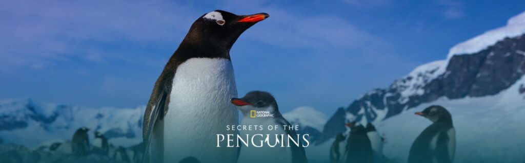 disney filmyedukacyjne (1)