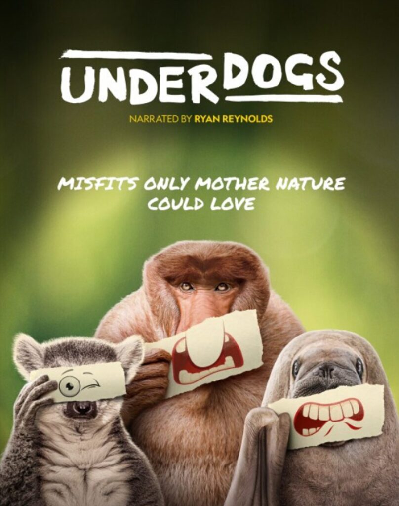 disney filmyedukacyjne (3)