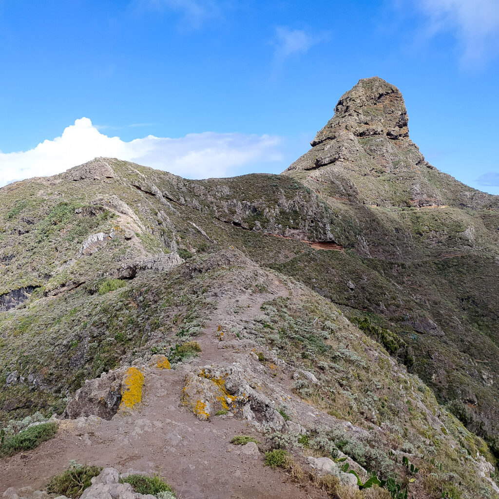 trekking na teneryfie Roque de Taborno9