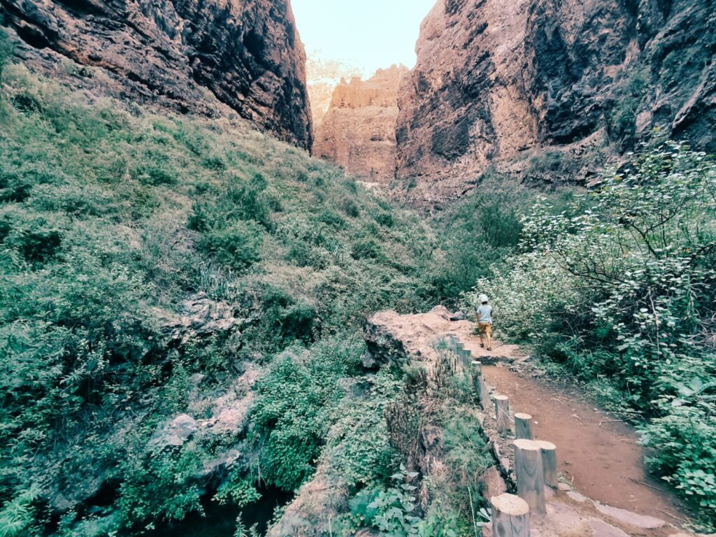 trekking na teneryfie baranco del infierno 19