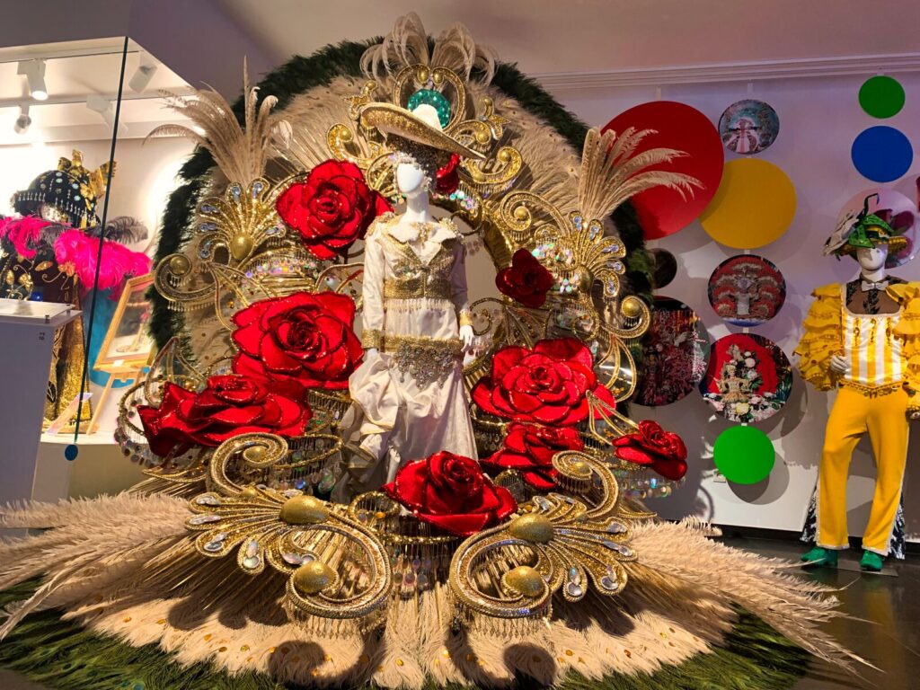 casa del carnaval 5