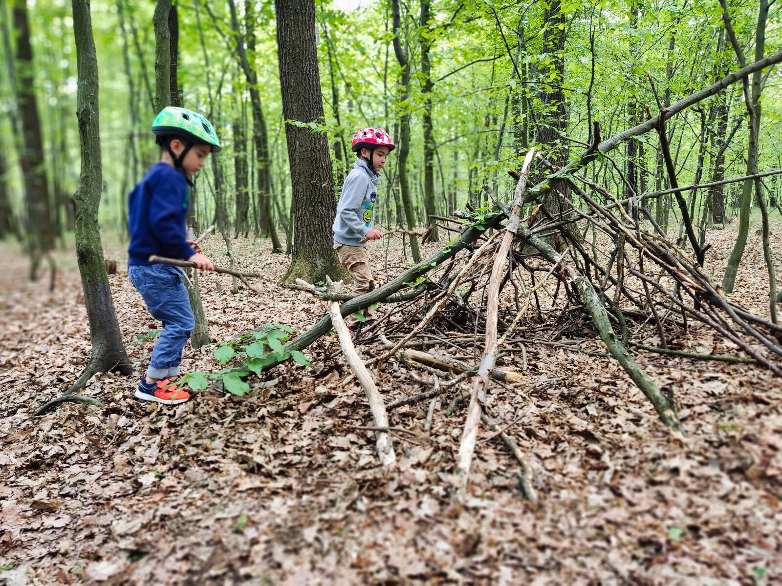 las debina podkarpacie atrakcje dla dzieci 5