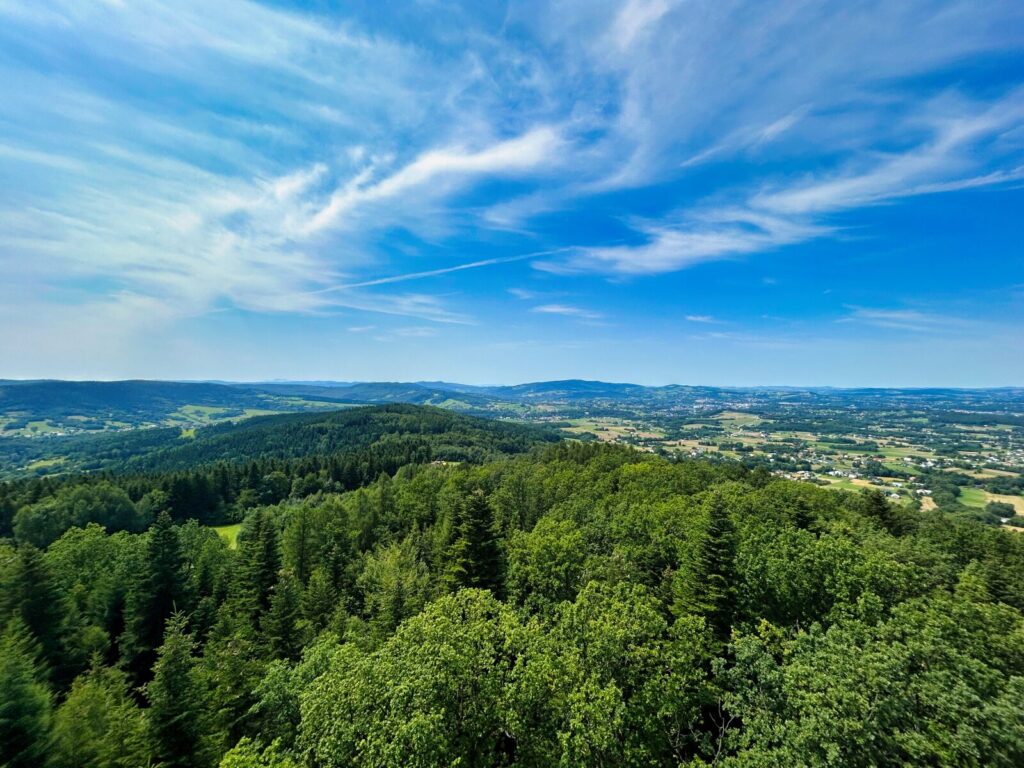 podkarpacie atrakcje dla dzieci (3)