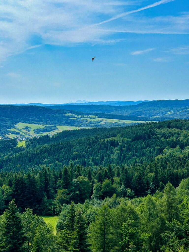 podkarpacie atrakcje dla dzieci (4)