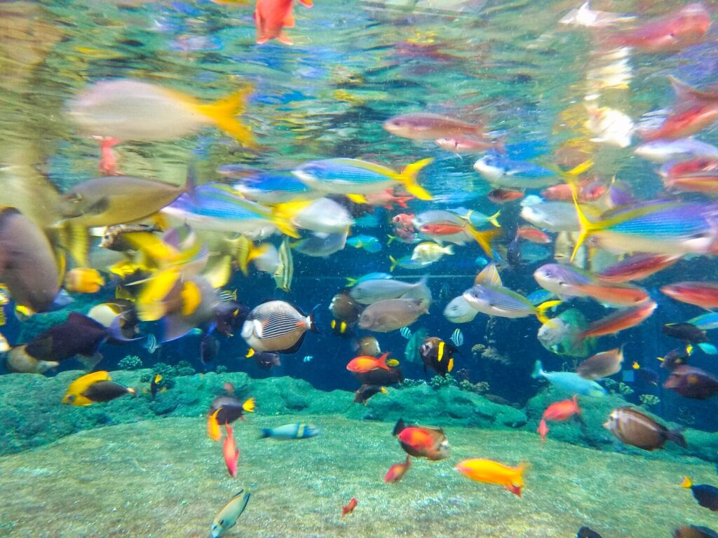 atrakcje dla dzieci wroclaw (2)