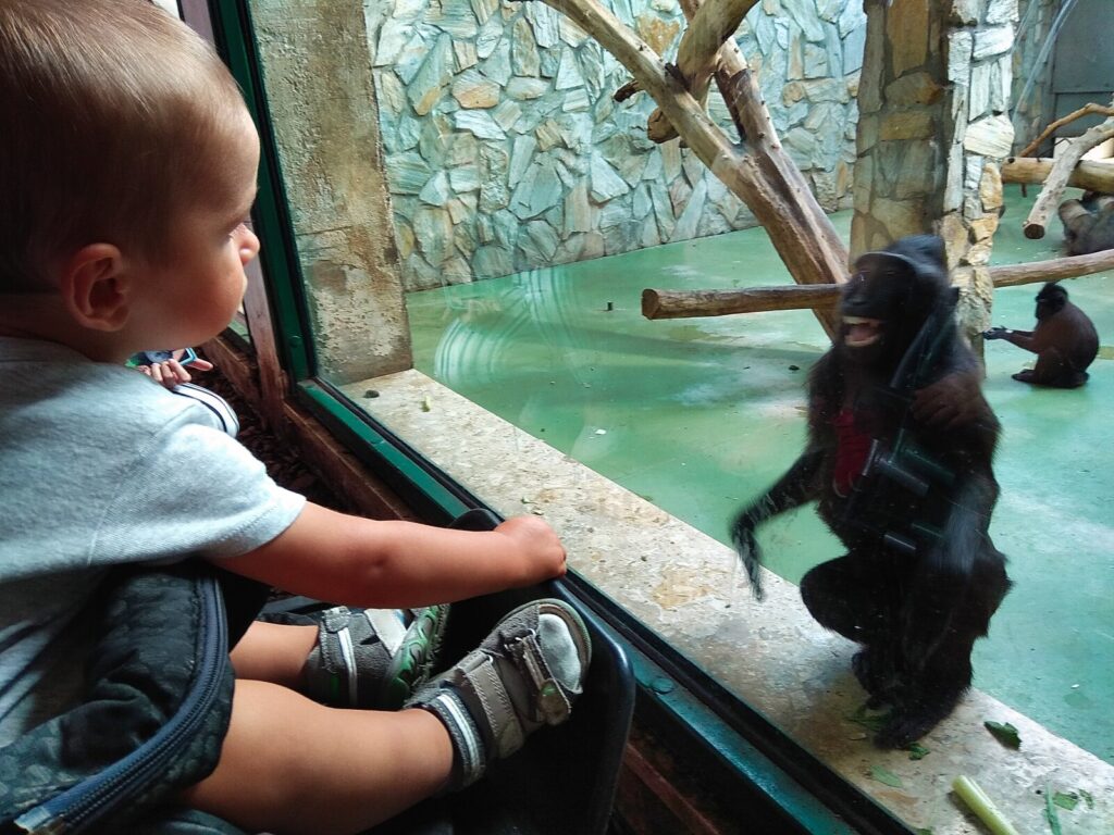 atrakcje dla dzieci wroclaw (7)