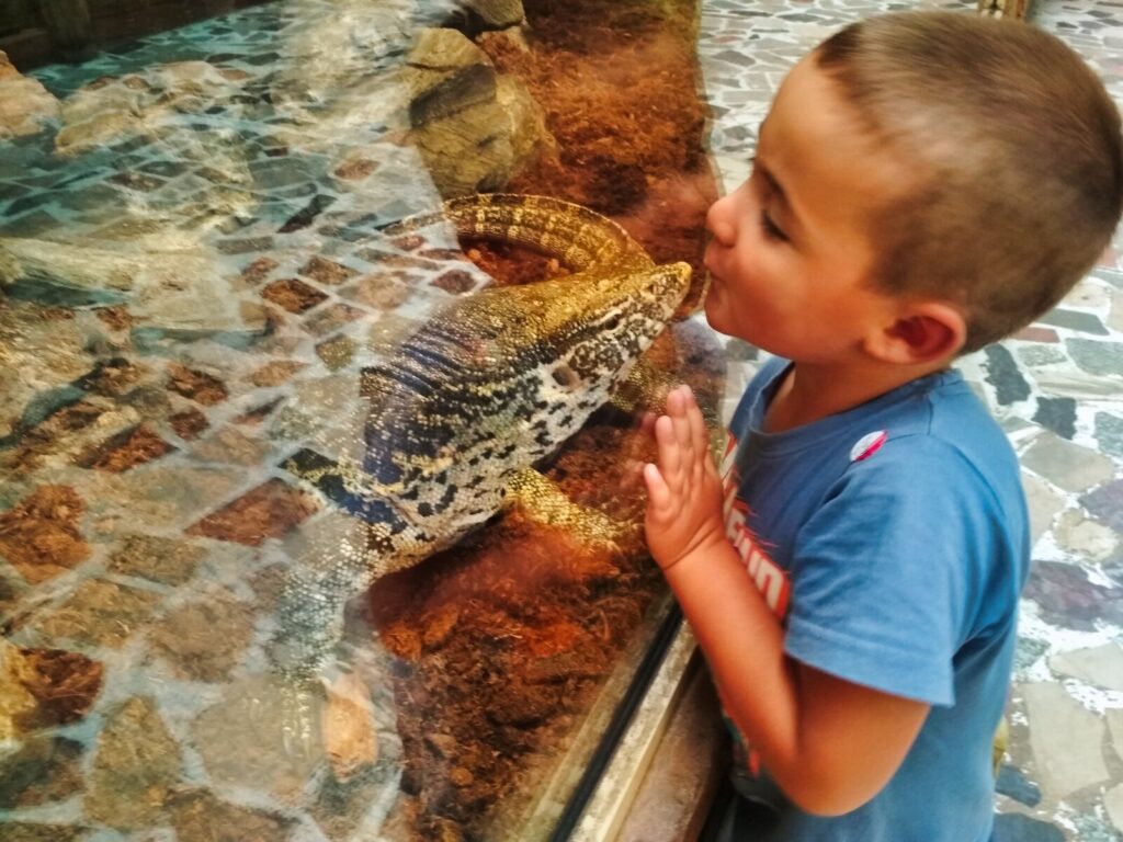 atrakcje dla dzieci wroclaw (8)