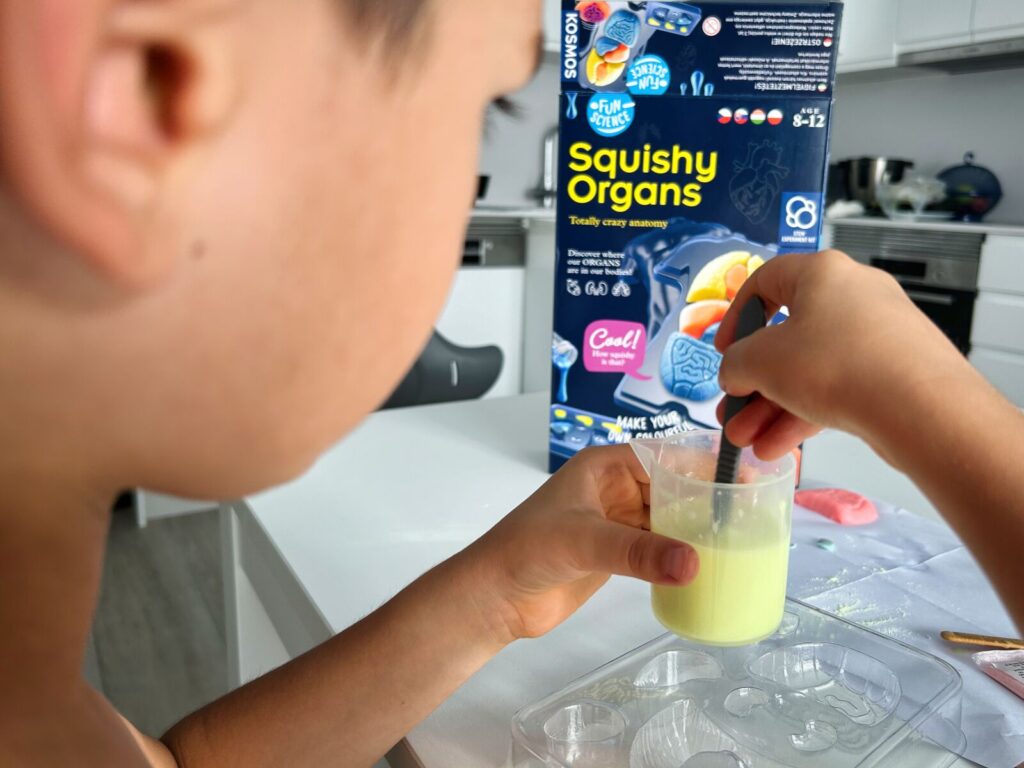 eksperymenty dla dzieci Zestaw Fun Science Squishy Organs (1)