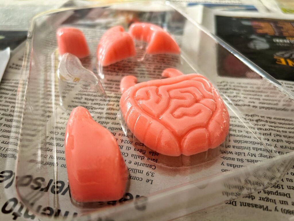 eksperymenty dla dzieci Zestaw Fun Science Squishy Organs (11)