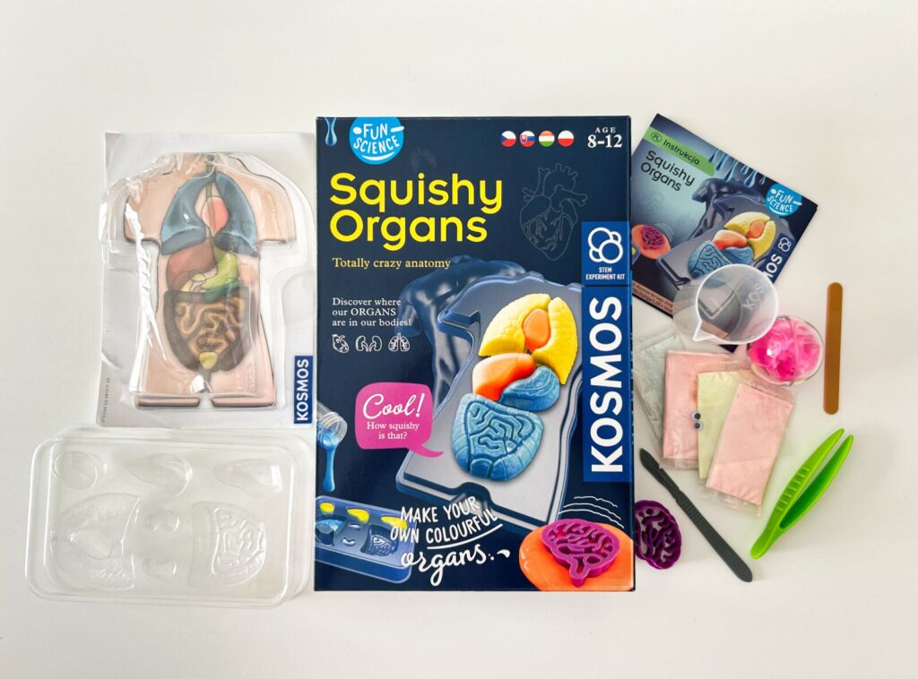 eksperymenty dla dzieci Zestaw Fun Science Squishy Organs (4)