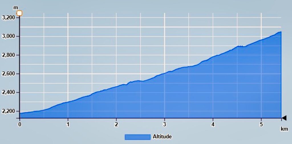 szlaki z pozwoleniem na teneryfie Teide (4)