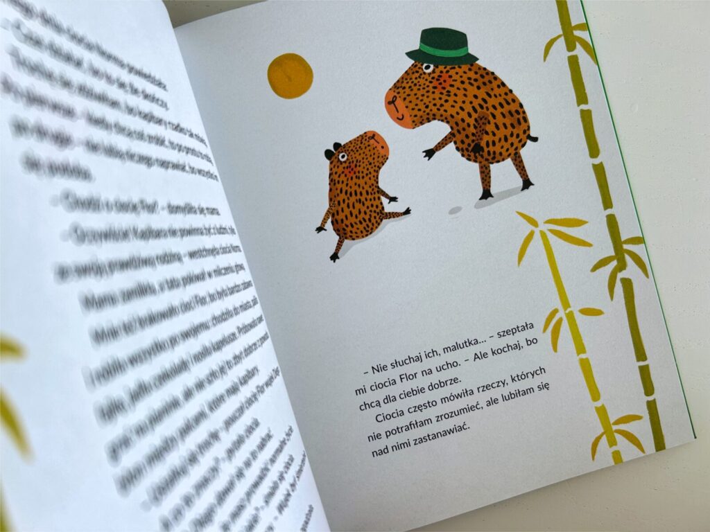 kapibara barabara (5)