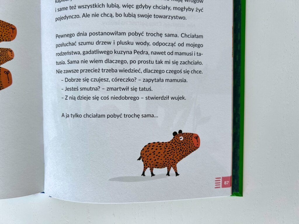 kapibara barabara (8)