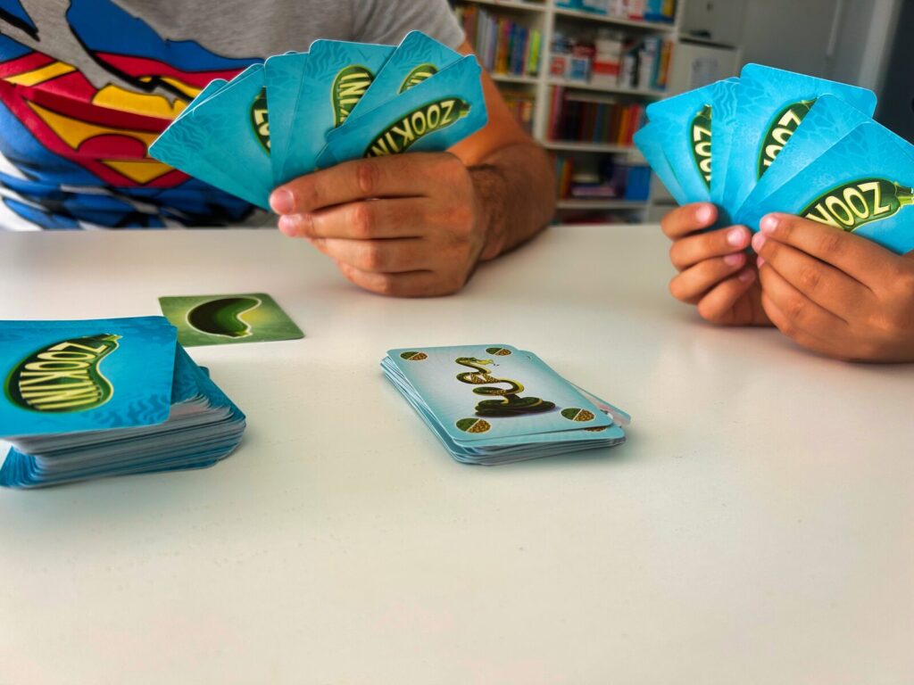 kompaktowe gry dla dzieci zookini (4)