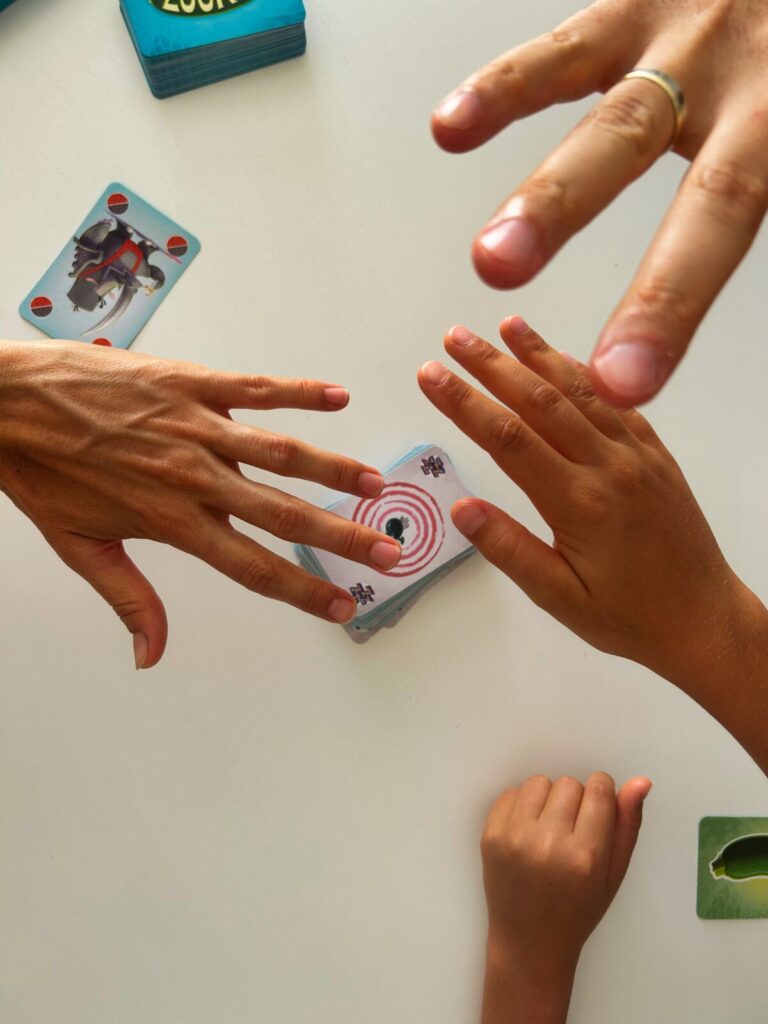 kompaktowe gry dla dzieci zookini (5)