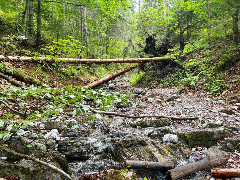 zakopane atrakcje dla dzieci (1)