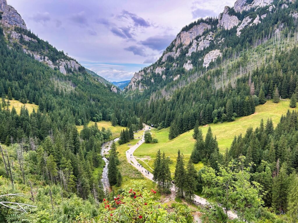 zakopane atrakcje dla dzieci (14)