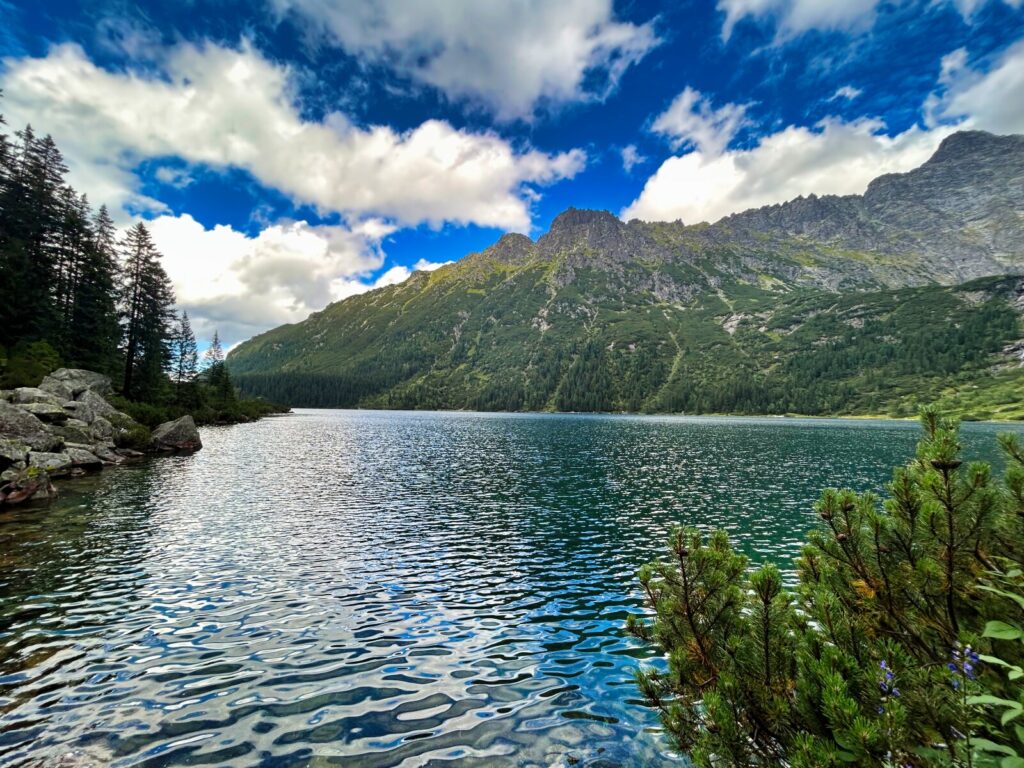 zakopane atrakcje dla dzieci (17)