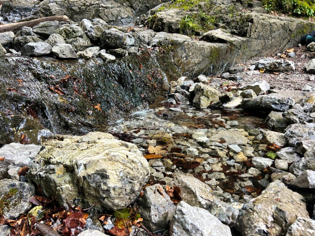 zakopane atrakcje dla dzieci (2)