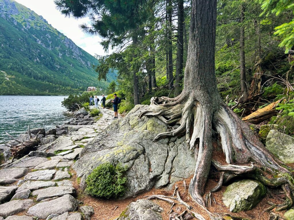 zakopane atrakcje dla dzieci (21)