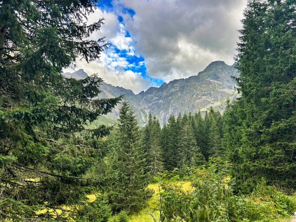 zakopane atrakcje dla dzieci (23)