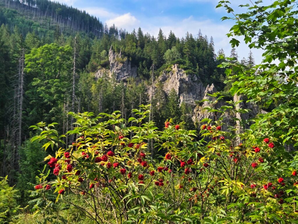 zakopane atrakcje dla dzieci (28)