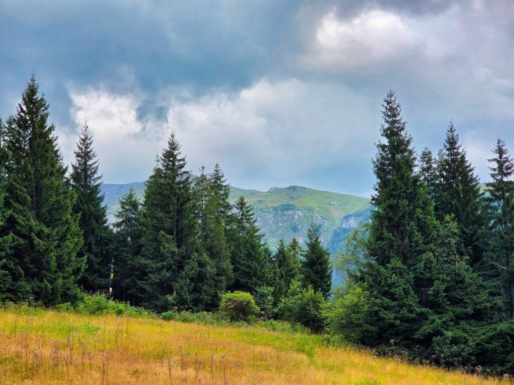zakopane atrakcje dla dzieci (29)