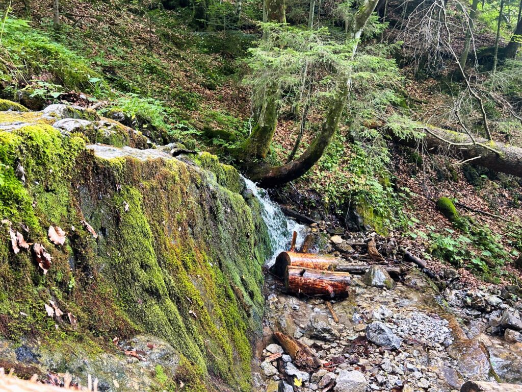 zakopane atrakcje dla dzieci (3)