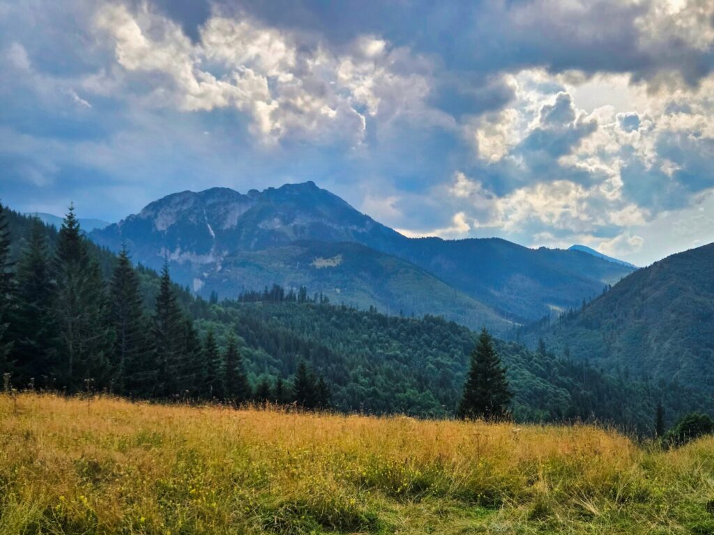 zakopane atrakcje dla dzieci (30)