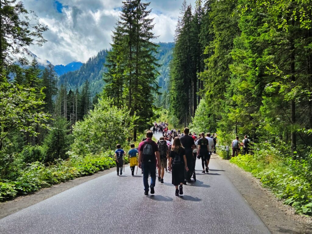 zakopane atrakcje dla dzieci (34)