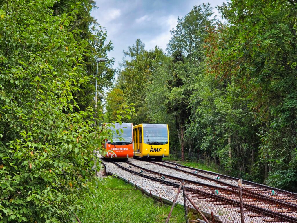 zakopane atrakcje dla dzieci (37)