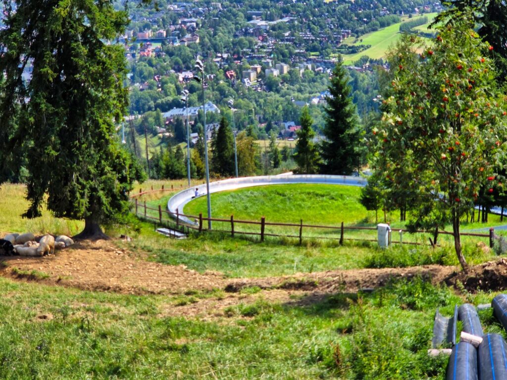 zakopane atrakcje dla dzieci (43)