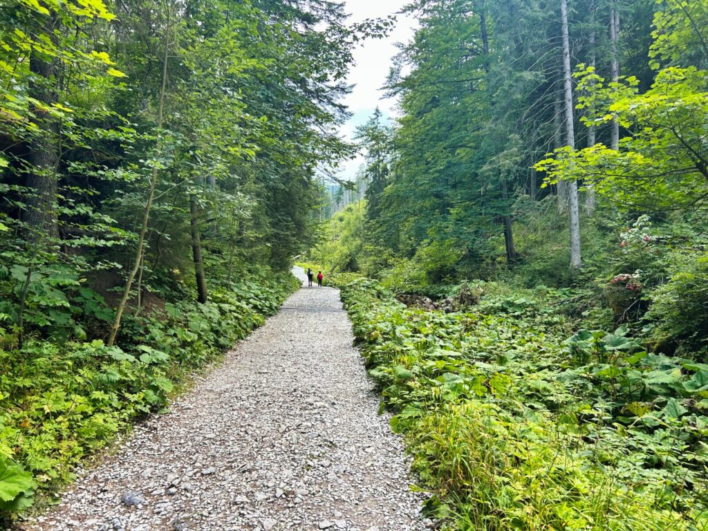 zakopane atrakcje dla dzieci (5)