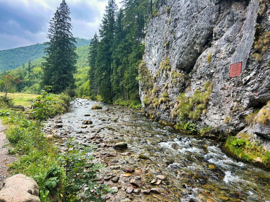 zakopane atrakcje dla dzieci (6)