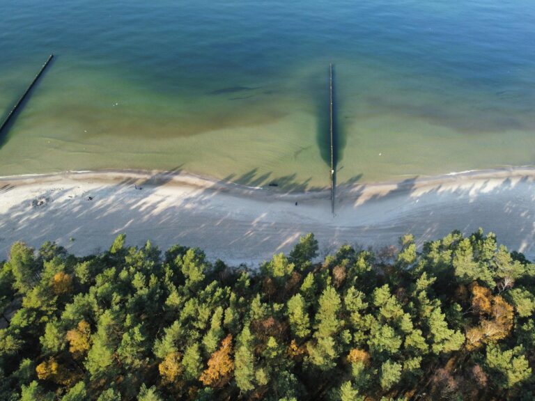 Stunning aerial image of Kołobrzeg beach with its emerald waters and lush greenery.