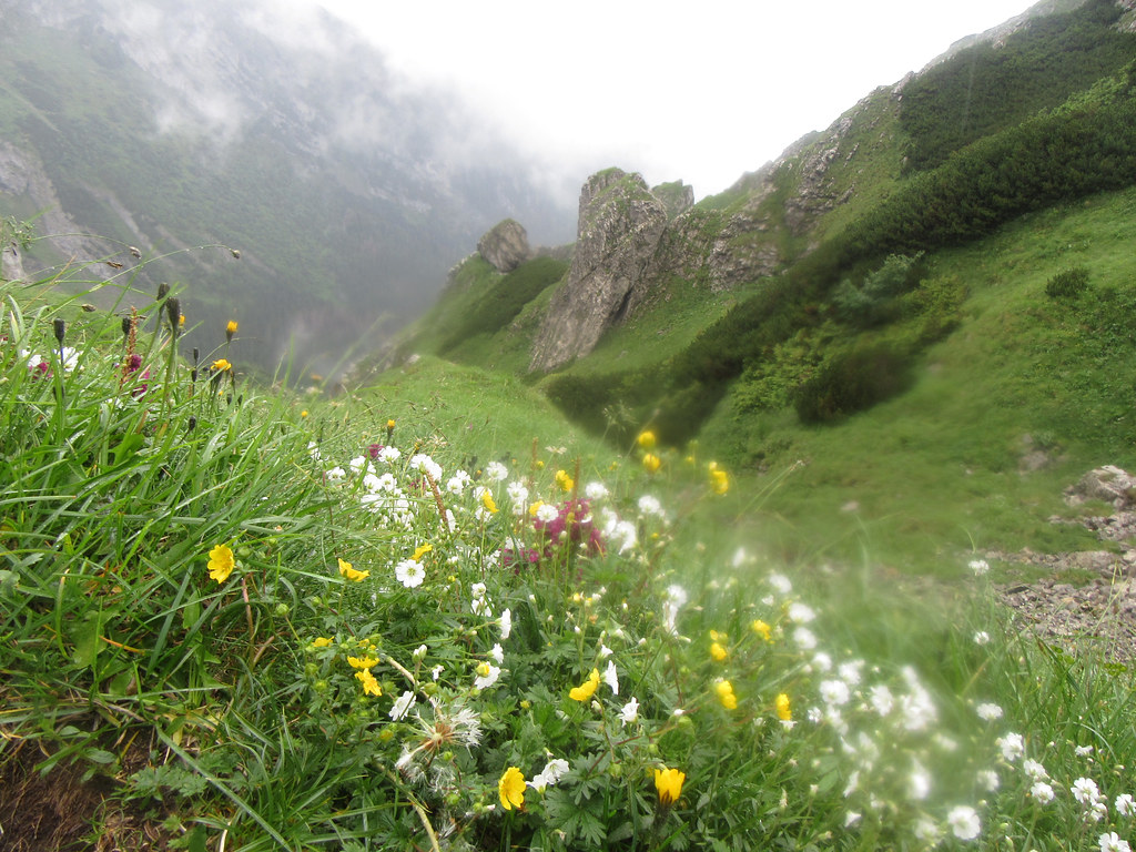 Zakopane atrakcje dla dzieci