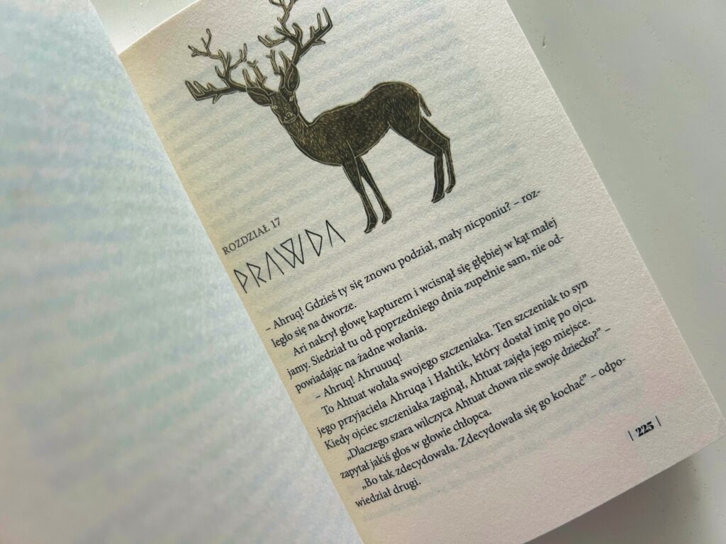 opowiesci swiata zorzy (24)