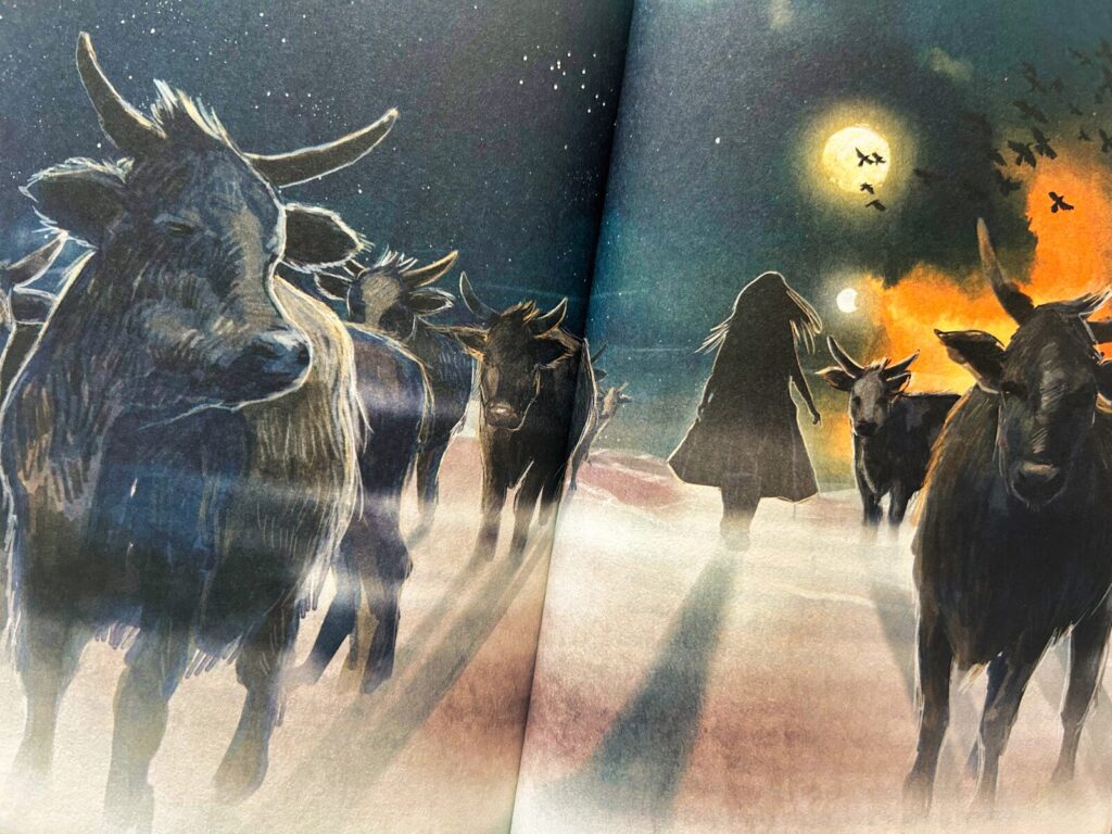 opowiesci swiata zorzy (25)