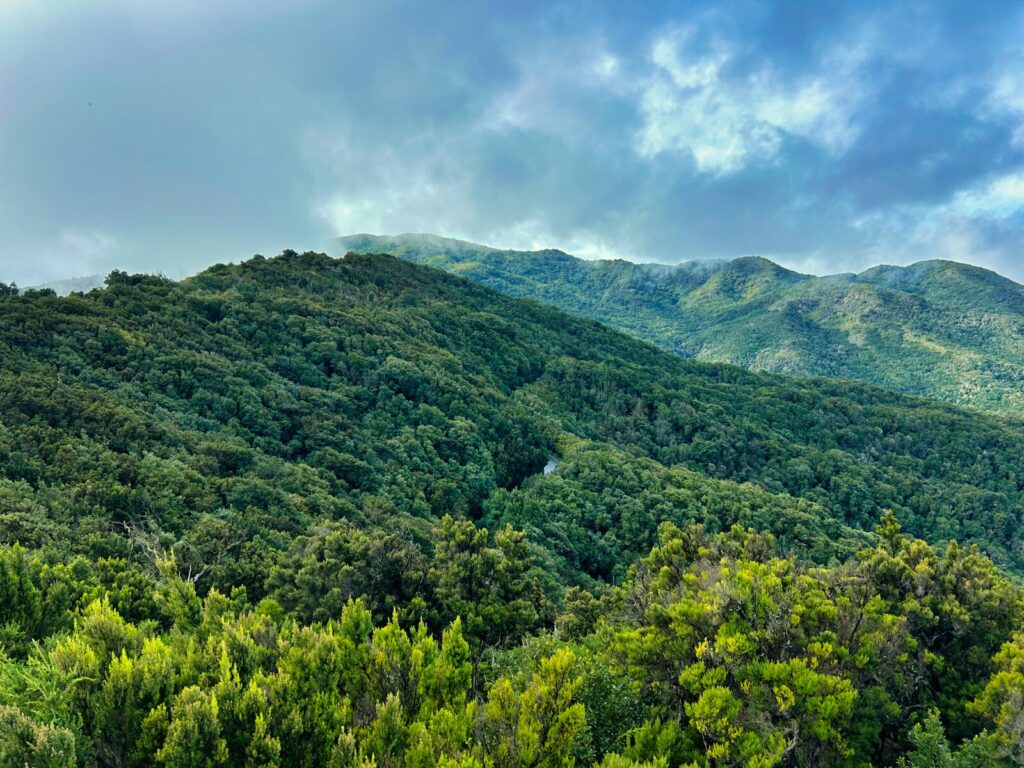 La Gomera przewodnik