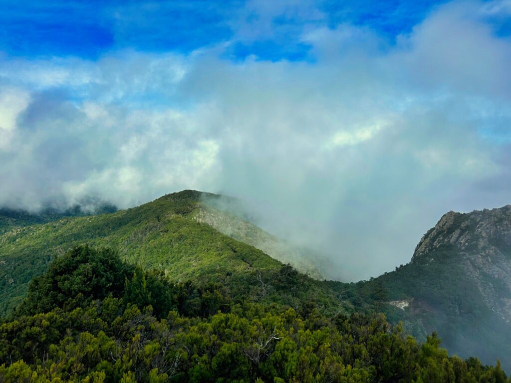 La Gomera przewodnik