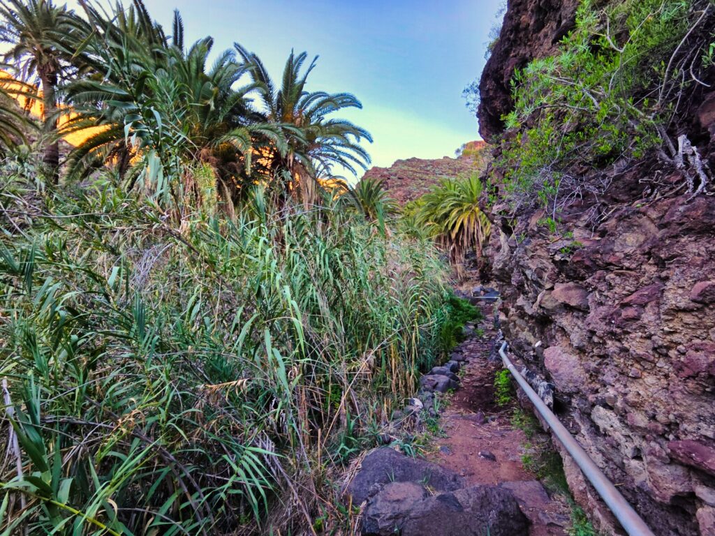 La Gomera trekking