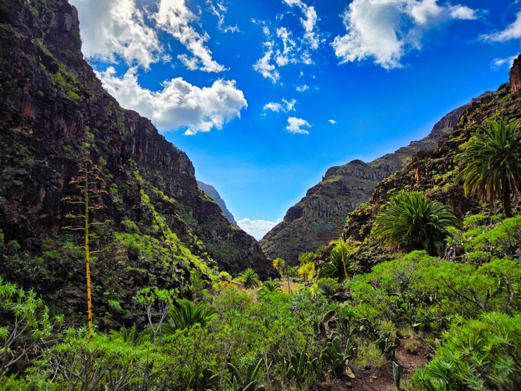 La Gomera trekking