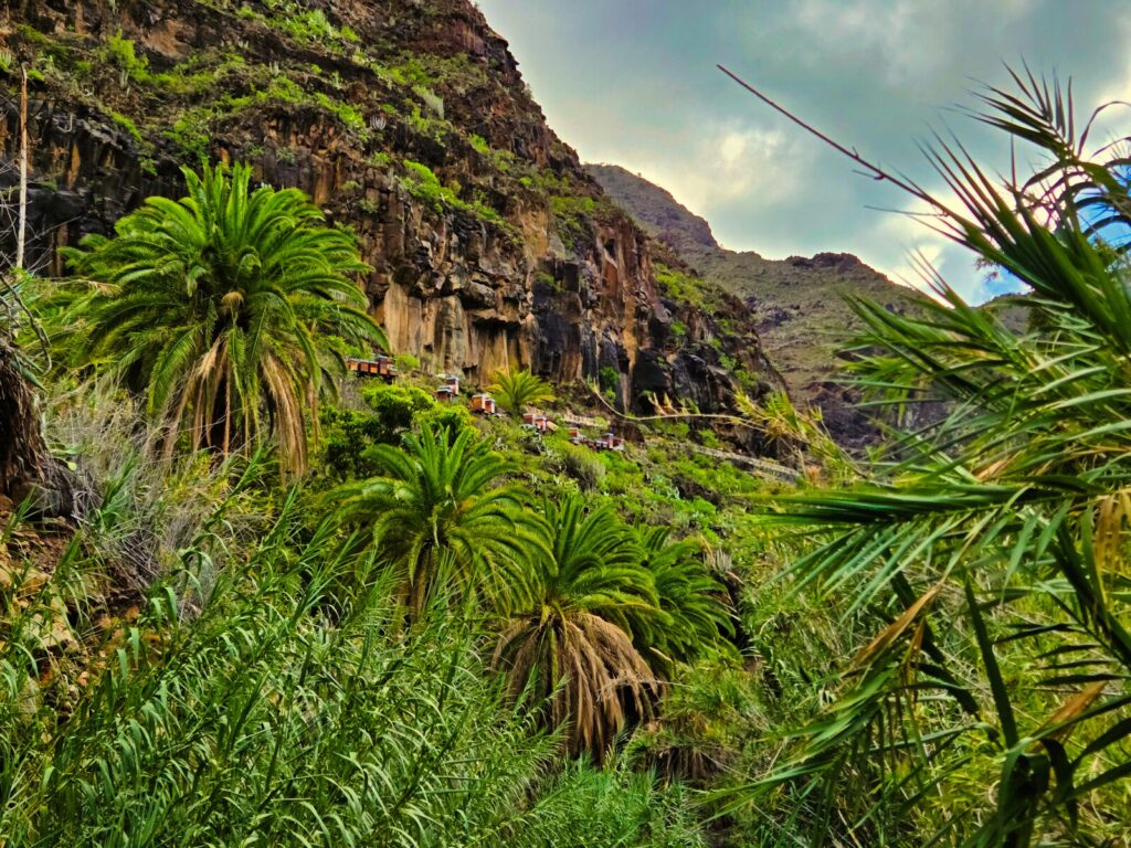 La Gomera trekking