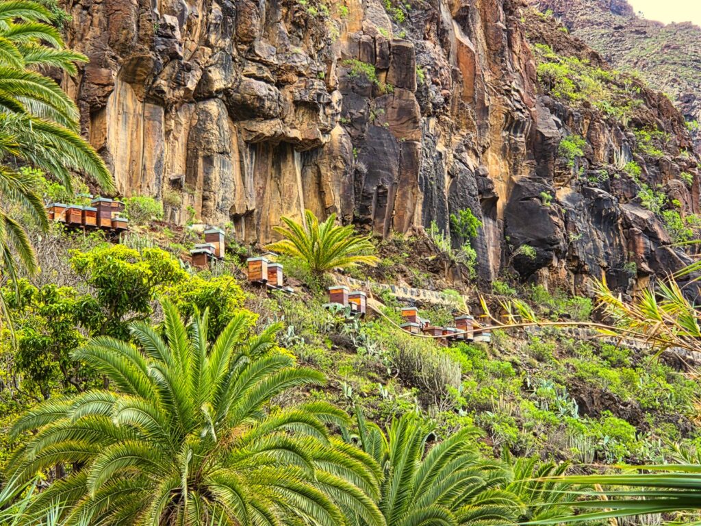 La Gomera trekking