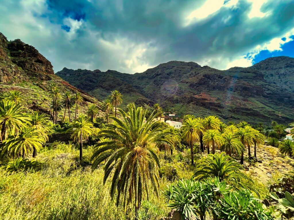 La Gomera trekking