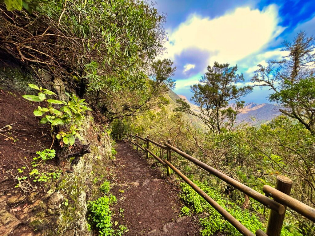 szlaki trekkingowe La Gomera