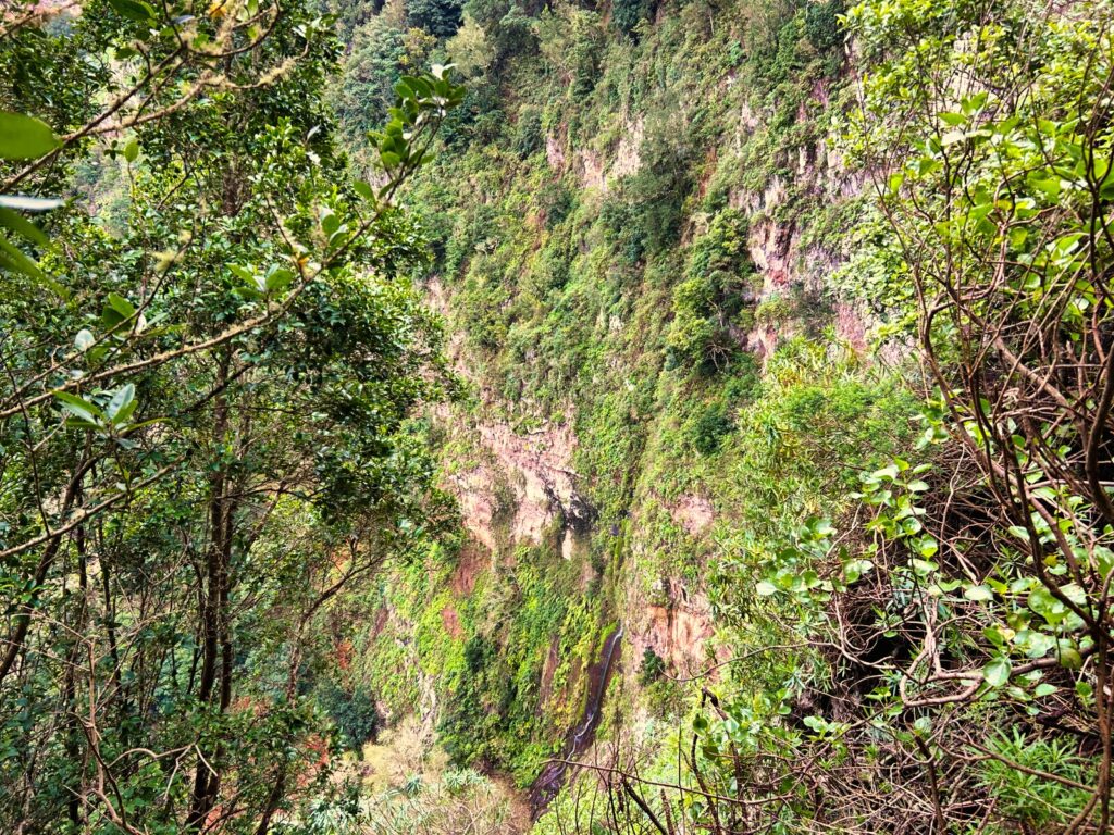 szlaki trekkingowe La Gomera