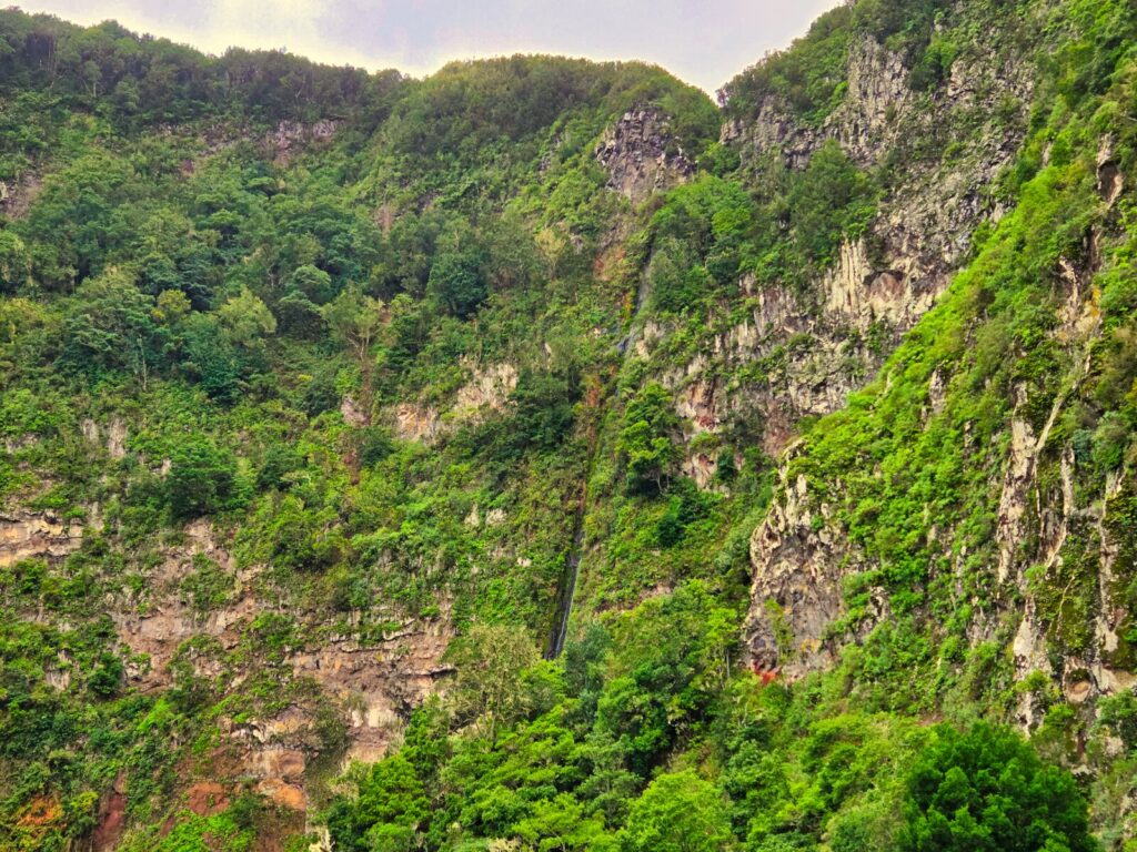 szlaki trekkingowe La Gomera